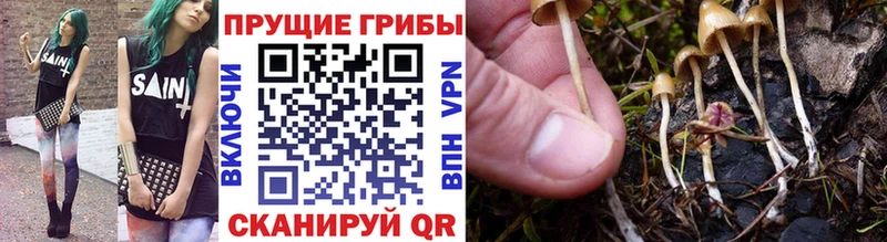 Псилоцибиновые грибы мицелий  Лахденпохья 